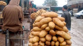 … الاحتكار يُلهب البطاطا!