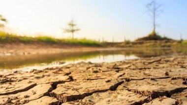 “Il y aura un sérieux danger pour l’agriculture s’il ne pleut pas dans les semaines a venir”