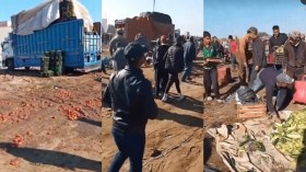 بالفيديو.. مغاربة ينهبون سوقا أسبوعية بالقنيطرة   