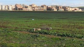 لاعب دولي يتحصل على عقار فلاحي من دون وجه حق