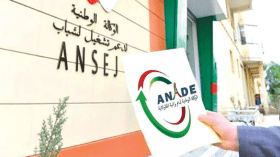 مؤسسات الشباب مدعوة للمشاركة في مناقصات للفوز بصفقات في عدة قطاعات