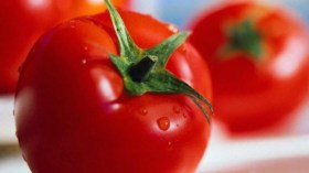 هؤلاء الأشخاص ممنوع عليهم تناول الطماطم!