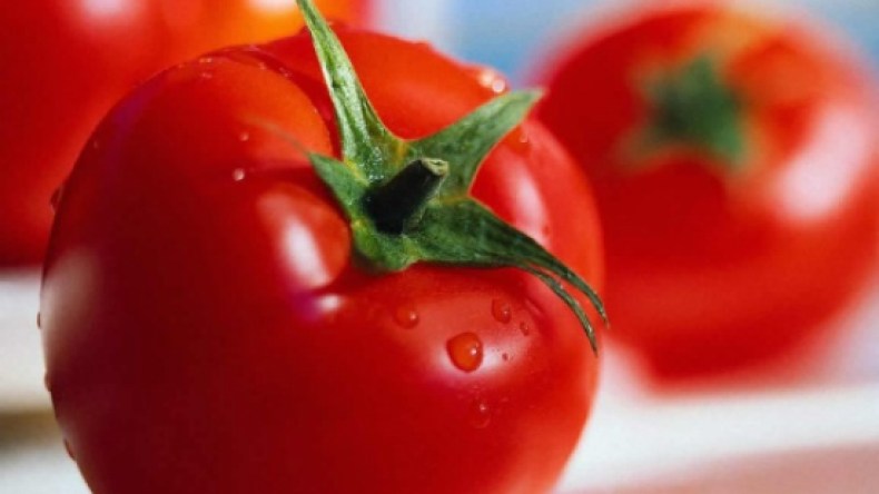 هؤلاء الأشخاص ممنوع عليهم تناول الطماطم!