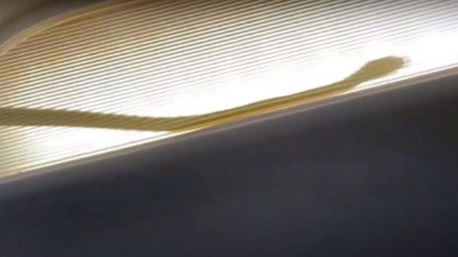 بالفيديو.. هبوط اضطراري لطائرة ماليزية بسبب ثعبان!