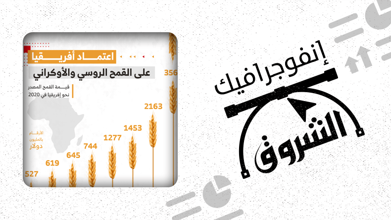 اعتماد أفريقيا على القمح الروسي والأوكراني