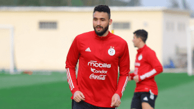 نادي فالفيك الهولندي: أحمد توبة كان على وشك إهداء التأهل للجزائر