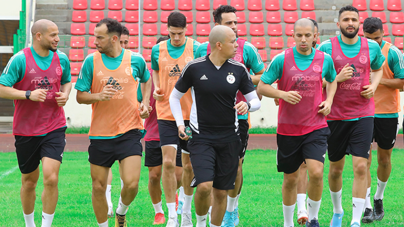 هذه هي الخطوات السبعة لبلوغ المونديال من بوابة الكاميرون