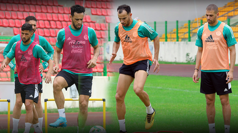 ما هي التشكيلة الأمثل التي ستشارك أمام الكاميرون