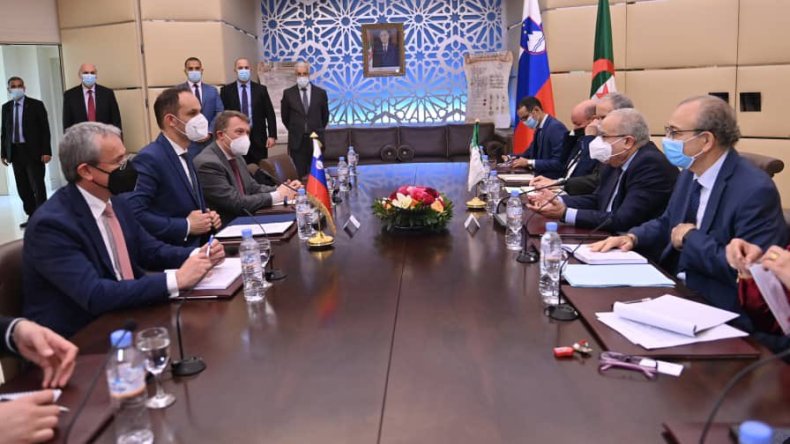 لعمامرة يستقبل وزير خارجية سلوفينيا