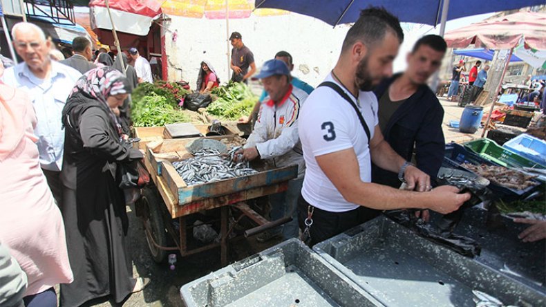 أسعار “جنونية” للأسماك بسبب الاضطرابات الجوية