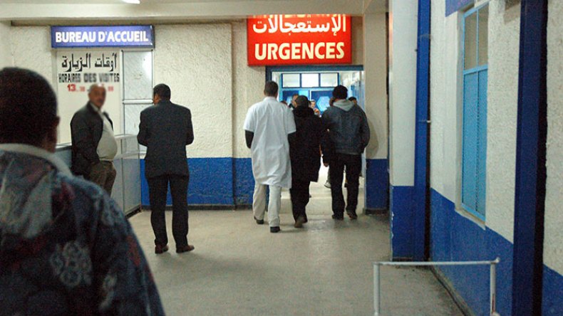كلب مسعور يدخل ستة أطفال المستشفى بتلمسان