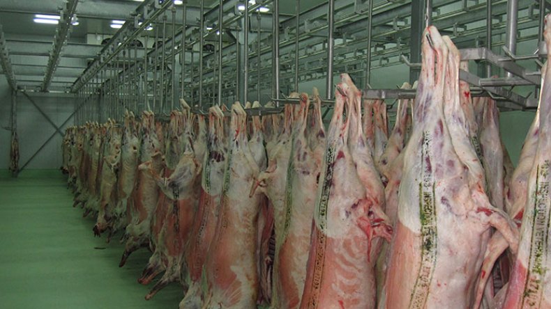 انطلاق أول شحنة لحوم من تمنراست لتموين أسواق الشمال