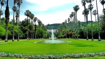 نحو تصالح مع المساحات الخضراء