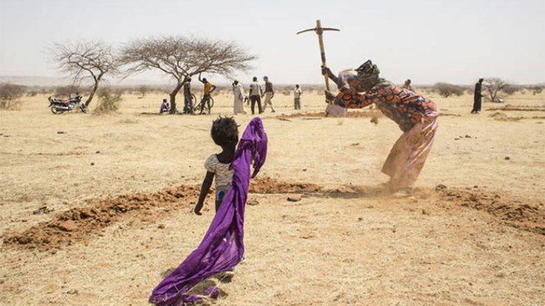 8 ملايين شخص في إفريقيا هاجروا بسبب المناخ