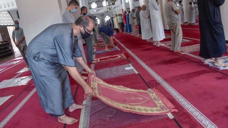 عضو باللجنة العلمية يعلن عن فتح مصليّات النساء في رمضان