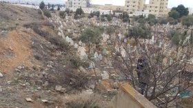 خنازير برية تعبث برفات الموتى بباتنة