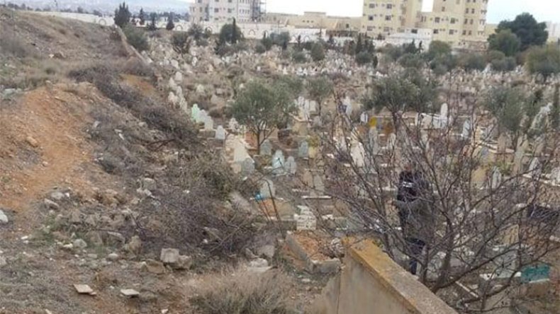 خنازير برية تعبث برفات الموتى بباتنة