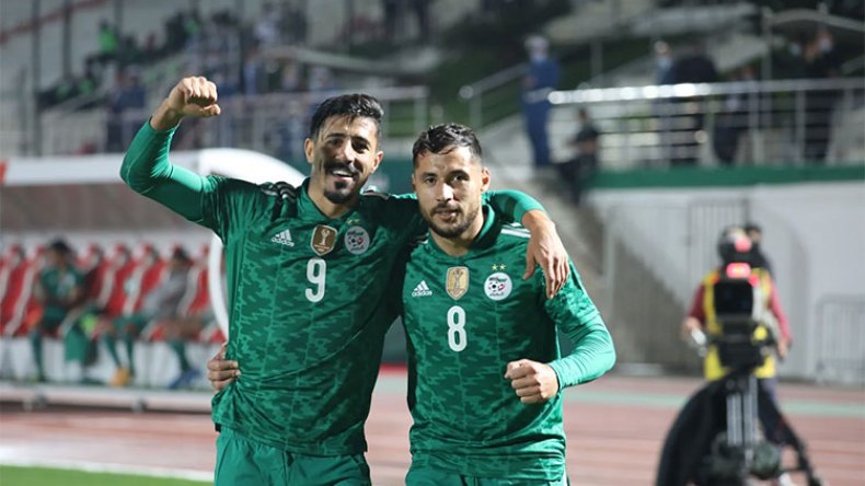 الجزيري: بونجاح وبلايلي صناعة تونسية!