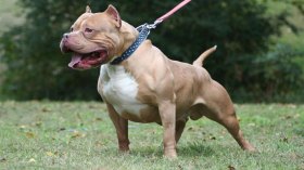 أخبار الجزائر ليوم الأربعاء 16 مارس 2022