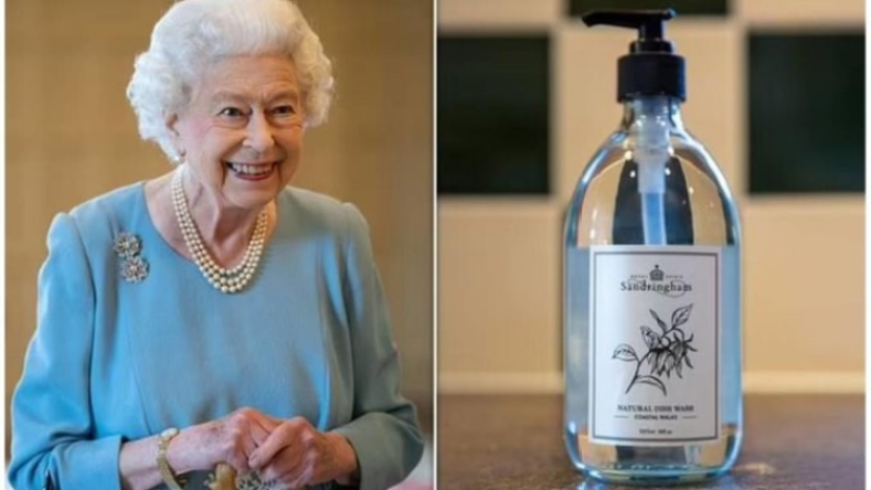 بعد إطلاقها لعطر خاص بالكلاب.. الملكة إليزابيث تعرض صابونا فاخرا للصحون