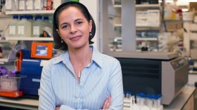 في احتفالها السنوي.. الجزائرية.. ريادة ونجاح ومشاريع مبتكرة