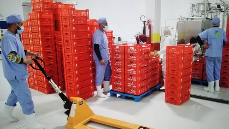 تهريب الحليب وسوء التوزيع سيعمقان الأزمة في رمضان