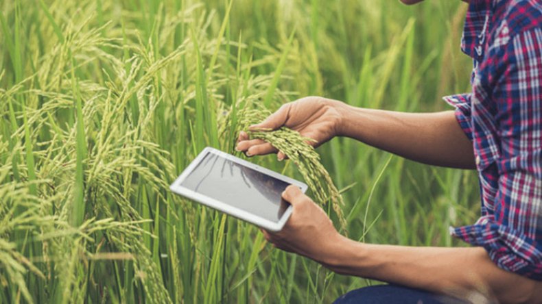 المهندس الزراعي.. مهنة مغيّبة في الجزائر