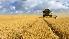 “الاكتفاء الذاتي من القمح سنة 2025.. والقضاء على تذبذب الحليب واللحوم قبل نهاية السنة”