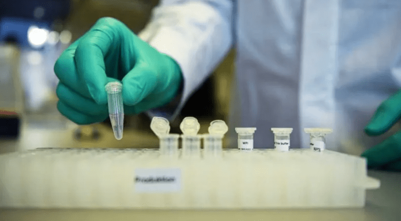 Transmission de maladies mortelles via des oiseaux migrateurs