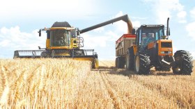 الجزائر خارج قائمة الدول المهدّدة بشحّ الغذاء لحد الساعة