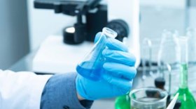 الحلقة (13): التشابه في العضوية بين المخلوقات.. بين داروين والعلم