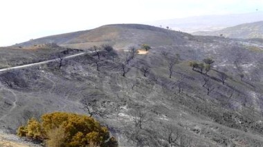 Tizi Ouzou: Indemnisation des aviculteurs victimes des incendies de l’été 2021
