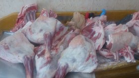 أخبار الجزائر ليوم الأحد 27 مارس 2022