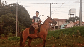 مع ارتفاع أسعار النفط عالميا.. هل تعتمد إيطاليا على الأحصنة في خدمات التوصيل؟