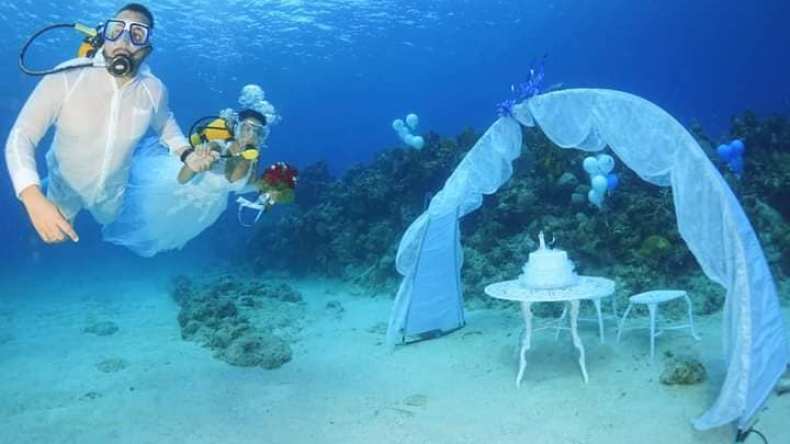 صور لحفل زفاف في عمق البحر بالجزائر تجوب العالم.. هذه حقيقتها!