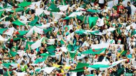 كل التفاصيل عن عملية بيع التذاكر لأنصار الخضر تحسباً لموقعة البليدة