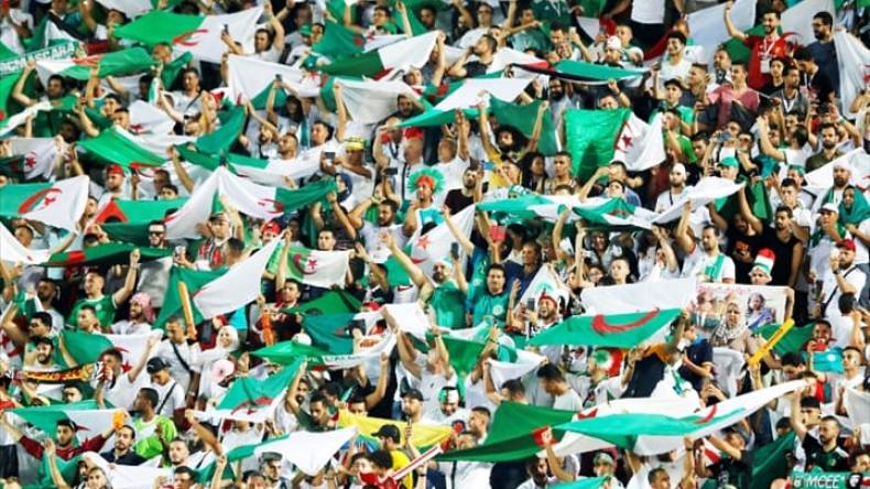 كل التفاصيل عن عملية بيع التذاكر لأنصار الخضر تحسباً لموقعة البليدة