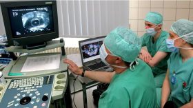 دراسة حديثة: هكذا يستخدم النمل في الكشف عن الخلايا السرطانية؟