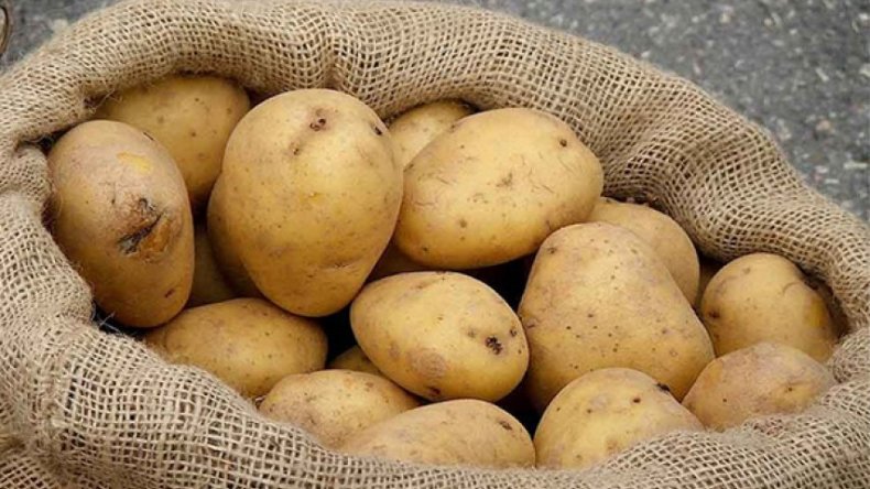 “خلّيها زريعة”.. حملة وطنية لمقاطعة شراء البطاطا
