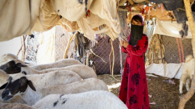 الجزائر ترحّب بإعلان الهدنة لمدّة شهرين في اليمن