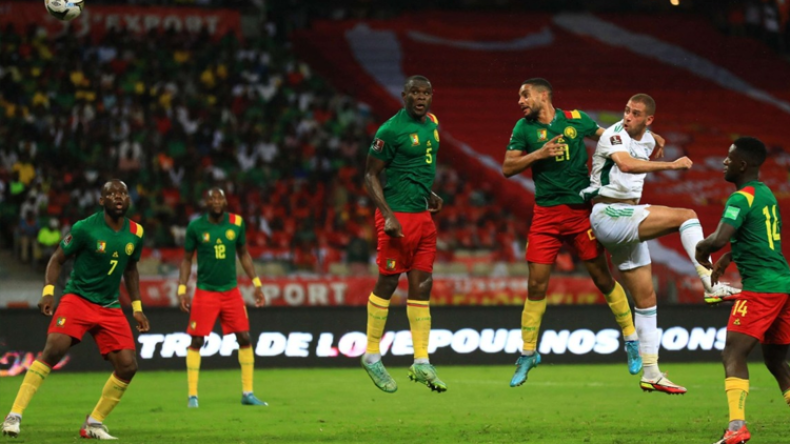 لماذا ساءت العلاقة الكروية بين الجزائر والكامرون؟