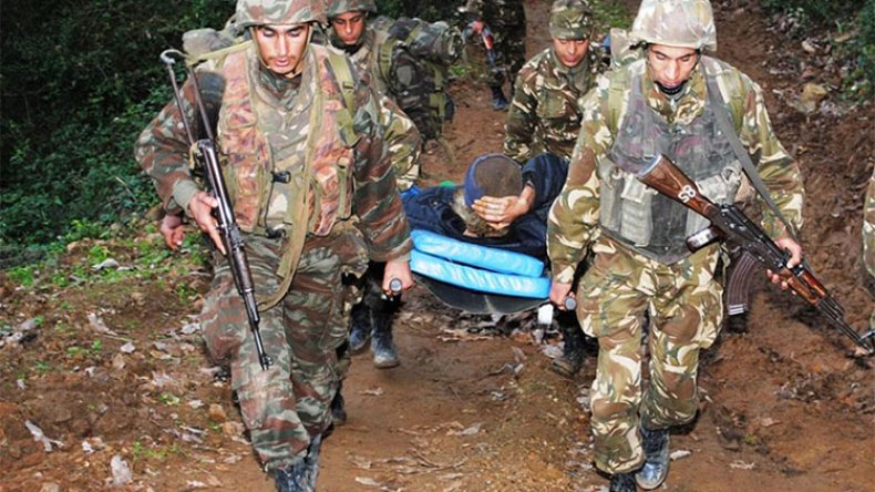 القضاء على 800 إرهابي خلال السنوات الأخيرة