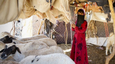 L’Algérie salue la trêve de deux mois au Yémen