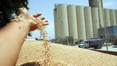Ministère de l’agriculture: l’Algérie a les réserves suffisantes en blé