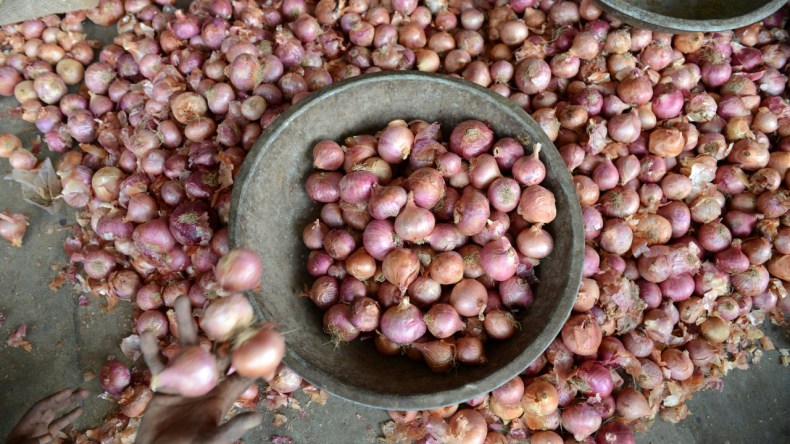 وصفة علاج الفشل الكلوي بعصير البصل والعسل.. مختصون يحذرون