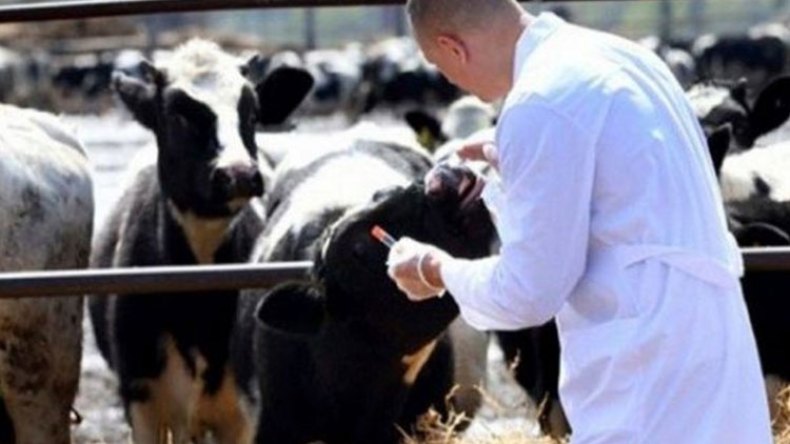 أخبار الجزائر ليوم السبت 16 أفريل 2022