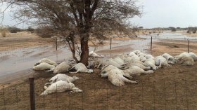 أخبار الجزائر ليوم الجمعة 29 أفريل 2022