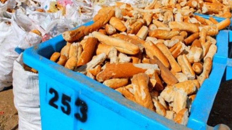 تراجع طفيف في التبذير والخبز أكثر ما يرميه الجزائريون