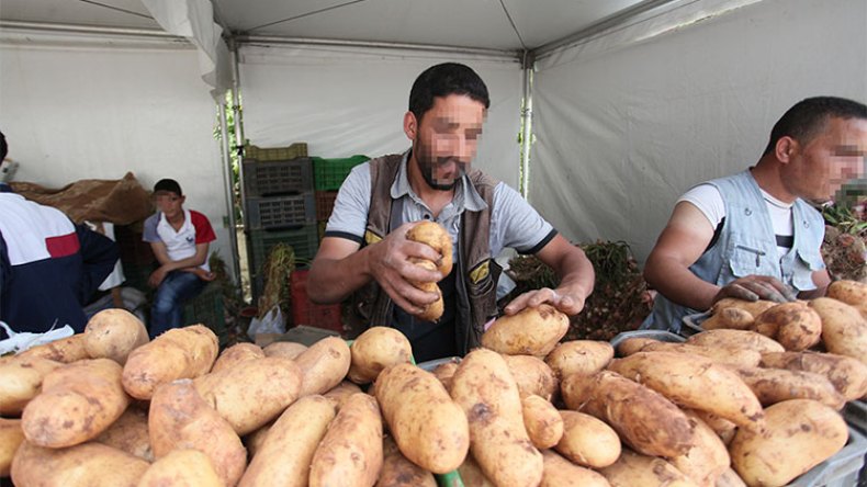 ارتفاع “صادم” لأسعار البطاطا!