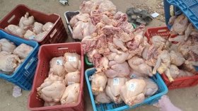 أخبار الجزائر ليوم الأحد 24 أفريل 2022